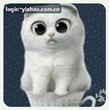 周强